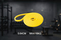 Pyrite Power Loop Resistance Bands