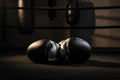 Boxing Gloves
